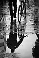 ◆2013/08-54 ◆Category File:Bicycle reflections.jpg uploaded by Tomascastelazo, nominated by Tomascastelazo