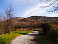 English: Autumn, Duino-Aurisina, Italy