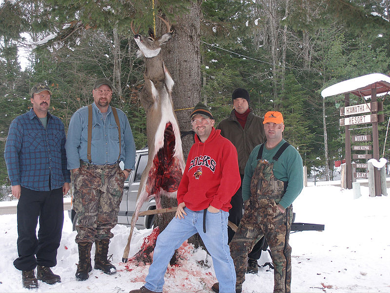 File:Dressed deer hung.jpg