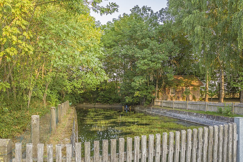 File:Teich am Weihersbrunnen in Dürrfeld.jpg