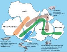 Kurdish