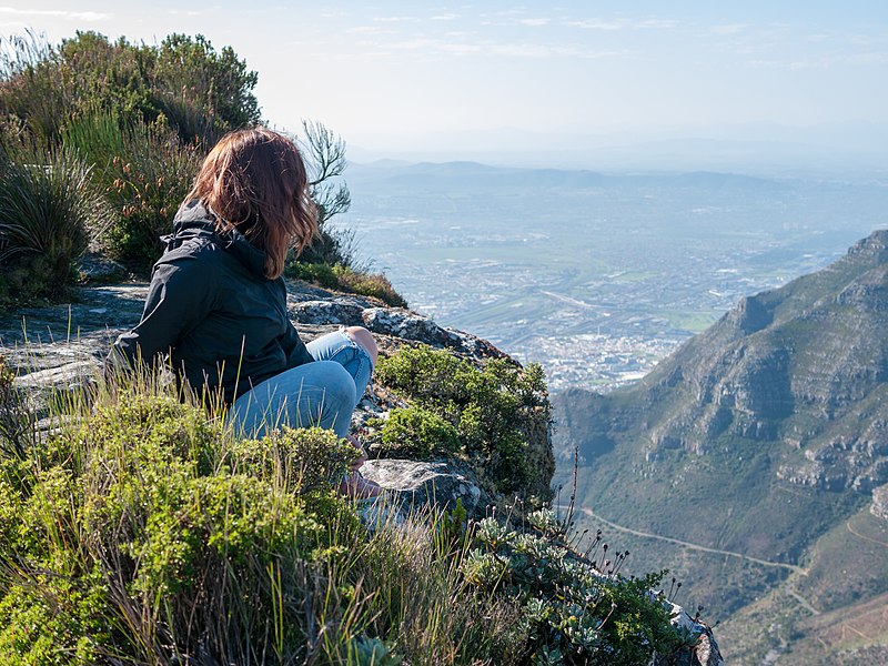 File:Wikimania 2018, Cape Town (P1050328).jpg