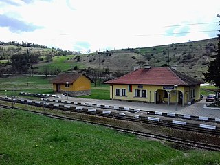 Avramovo station