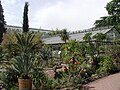 Kakteenhaus (1953) und Mittelmeergarten (1984)