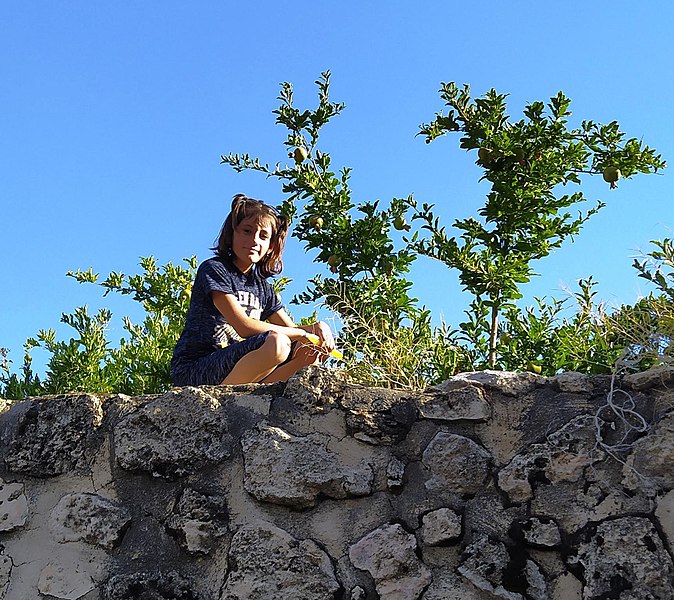 File:Girl of Midyat.jpg