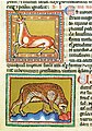 The Ashmole Bestiary (MS. Ashmole 1511), folio 21 recto: Monoceros, early 13th century, England (Peterborough ?), miniature, 27.5 × 18 cm, Bodleian Library, Oxford.