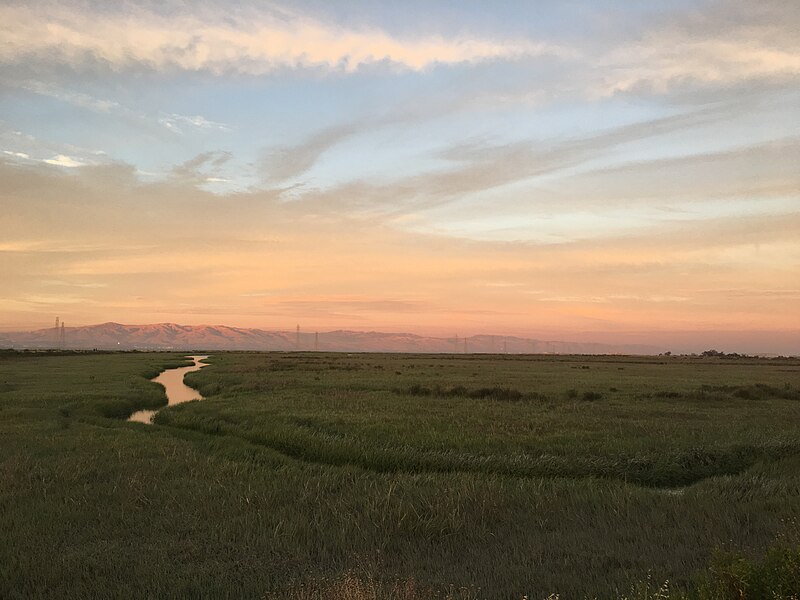 File:East Palo Alto Bay Trail at Sunset, Don Edwards San Francisco Bay National Wildlife Refuge.jpg