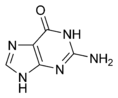 Guanine chemical structure.png