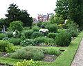 The Chelsea Physic Garden, London (UK), in summer 2006