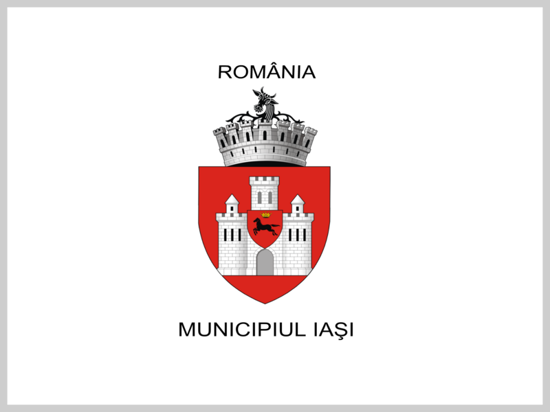 File:ROU IS Iasi Flag.png