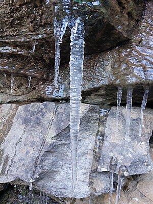 Vallombrosa nature reserve - ice formation