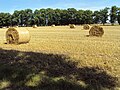 Hay bales near Puddington