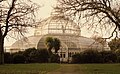 The Palm House In Sefton Park Liverpool.(see Category:Sefton Park Palm House