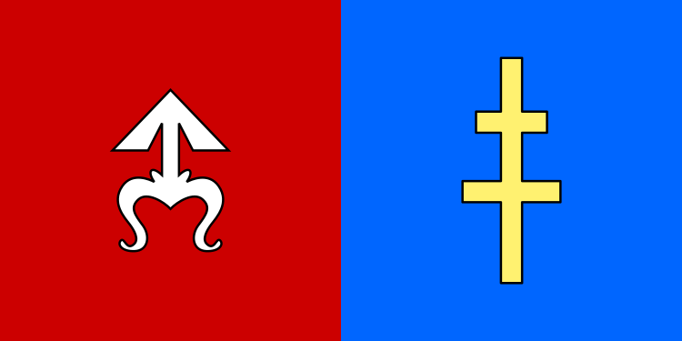 File:POL powiat skarżyski flag.svg