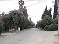 a road in Moshav Beit Oved