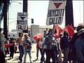 Chicano Rights Movement, 1960's.