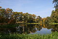 * Nomination Park in Rudy. --Lestath 08:44, 6 November 2008 (UTC) * Decline  Neutral Slightly tilted counterclockwise (trees and their reflections are not vertically aligned), maybe the branch in the upper-left corner should be removed. Nice composition, although I wouldn't have included the grass in the foreground. --Eusebius 16:11, 12 November 2008 (UTC)  Oppose - I'm not so sure, the focus seems to be on the grass rather than the trees - it could use some sharpening and painting out of that twig at the top left. Mattbuck 23:25, 15 November 2008 (UTC)