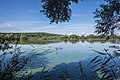 * Nomination "Wörth lake" in nature reserve "Main meadows near Hassfurt" in autumn --Plozessor 05:30, 13 January 2024 (UTC) * Promotion Good quality --Llez 05:54, 13 January 2024 (UTC)