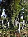 Polski: Cmentarz żydowski Čeština: Židovský hřbitov. English: Jewish cemetery.