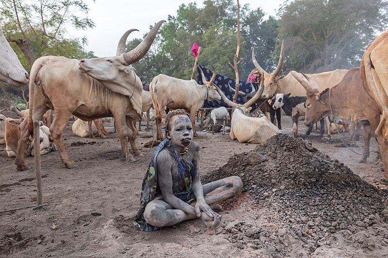File:Campamento de ganado de la tribu Mundari, Terekeka, Sudán del Sur, 2024-01-29, DD 44.jpg