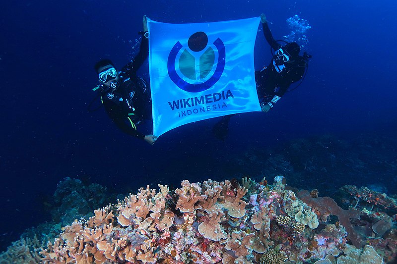 File:WMID Flag with Coral Reefs.jpg