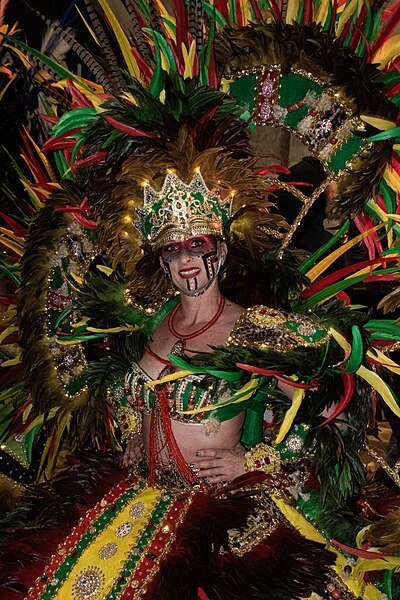 File:Carnival Feathercostume.jpg