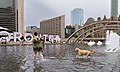 A woman with a dog at Nathan Phillips Square in Toronto