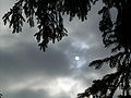 Sun visible through Stratus-Layer