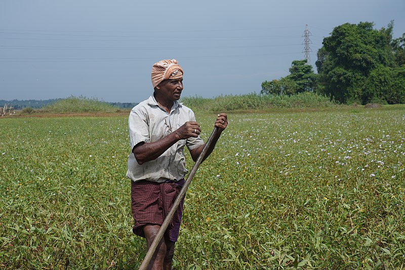 File:A farmer in Kerala 03.jpg