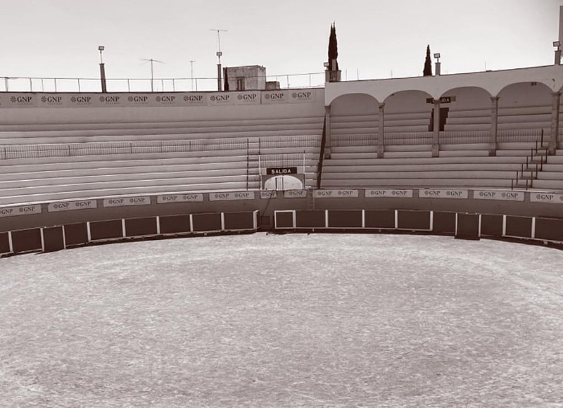 File:Ruedo de la plaza de toros San Marcos tambien academia taurina del estado de Ags. México.jpg