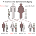 X-chromosomal-dominant (Vater)