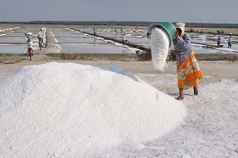 File:Salt workers of Marakkanam.jpg