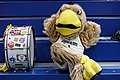 * Nomination Basketball, FIBA Women's Eurobasket Qualifiers, GER-BIH: mascot 'Arnold' (DBB). By --Stepro 06:22, 26 March 2023 (UTC) * Promotion Good quality. --DXR 08:23, 26 March 2023 (UTC)