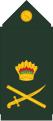 Lieutenant General