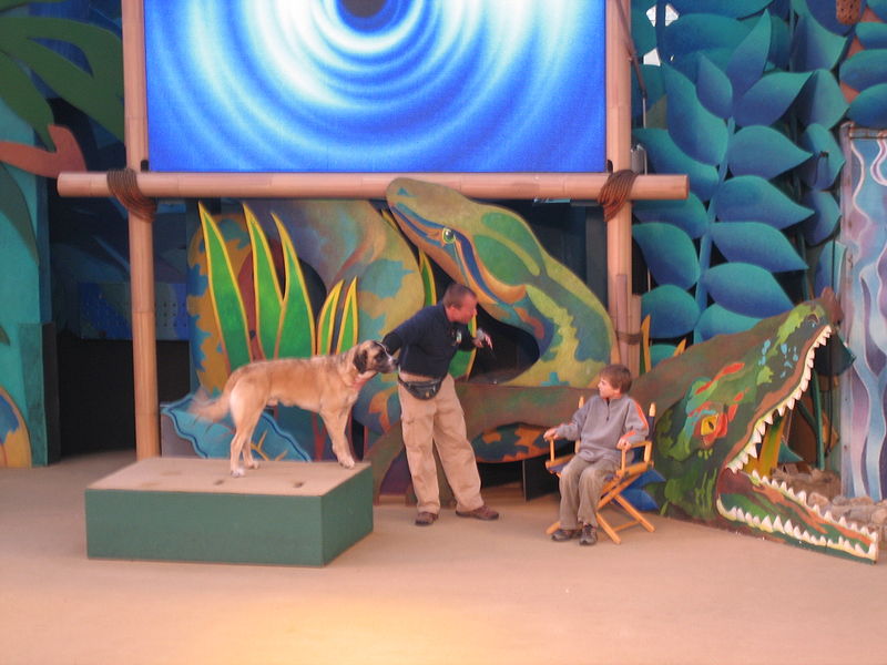 File:Animal Planet Live (113473844).jpg