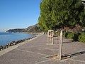 View of the Castle from Barcola