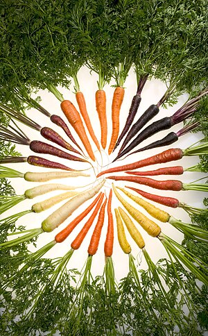 Carrots of many colors.