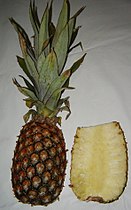 Pineapple