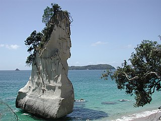 Te Hoho Rock near Cathedral Cove, Coromandel Peninsula