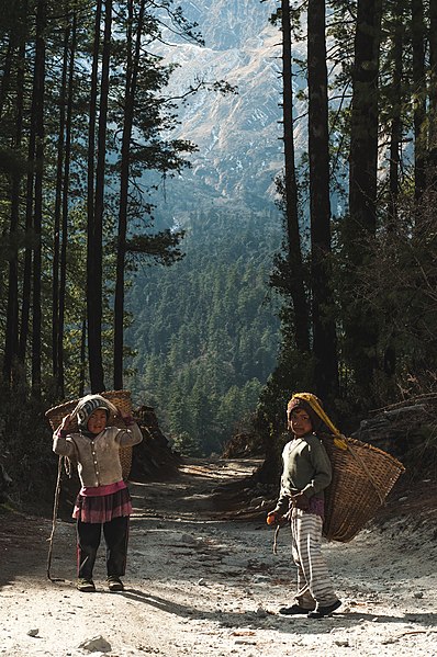 File:Children in forest.jpg