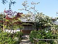 Denshō-ji, Chuo-ku, Fukuoka 伝照寺、福岡市中央区