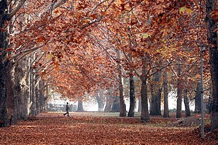 Kashmir Valley in autumn.