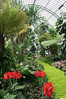 Laeken, Royal Greenhouses of Bala.