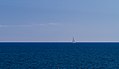 * Nomination Mediterranean Sea with sailboat near Palma de Mallorca --F. Riedelio 08:50, 26 March 2022 (UTC) * Promotion The sailboat is too small and indistinct to be the main subject. --Tagooty 10:42, 27 March 2022 (UTC)  Comment Renamed. --F. Riedelio 11:51, 29 March 2022 (UTC)  Neutral --Tagooty 02:38, 1 April 2022 (UTC)  Support I think, the small boat ist a good stylistic device here. It could be anywhere on the great, wide sea. --Milseburg 13:23, 1 April 2022 (UTC)