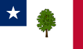 Flag of Mississippi (1861-1865), United States