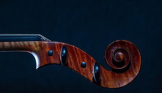 Viola scroll