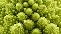 4 Romanesco broccoli texture uploaded by Iifar, nominated by Iifar,  21,  0,  0