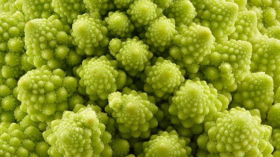 Romanesco broccoli