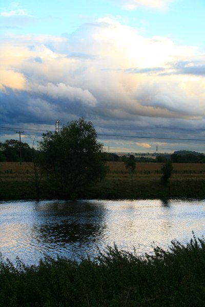 File:A Tree Reflected in The Trent - geograph.org.uk - 916950.jpg