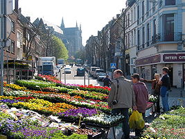 Mons flower market, Belgium.